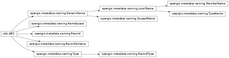 Inheritance diagram of opengis.metadata.naming